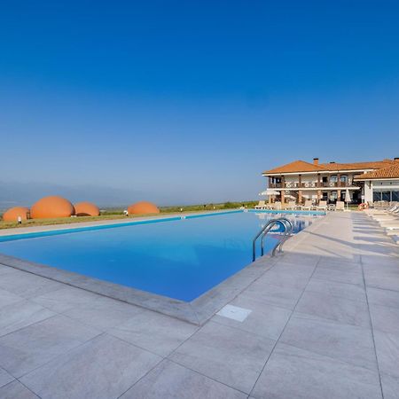 Hotel Qvevrebi Telavi Exteriér fotografie