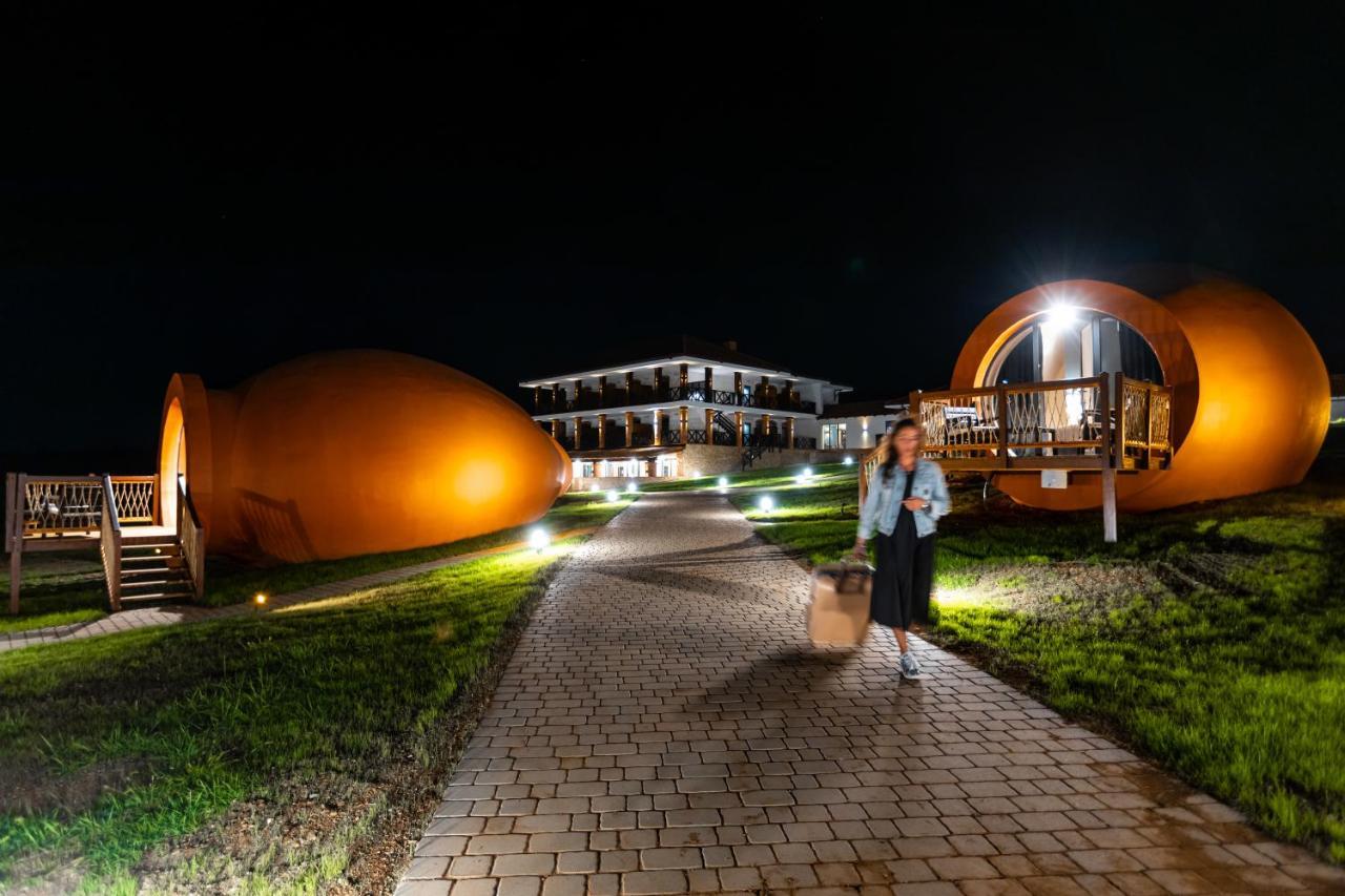 Hotel Qvevrebi Telavi Exteriér fotografie