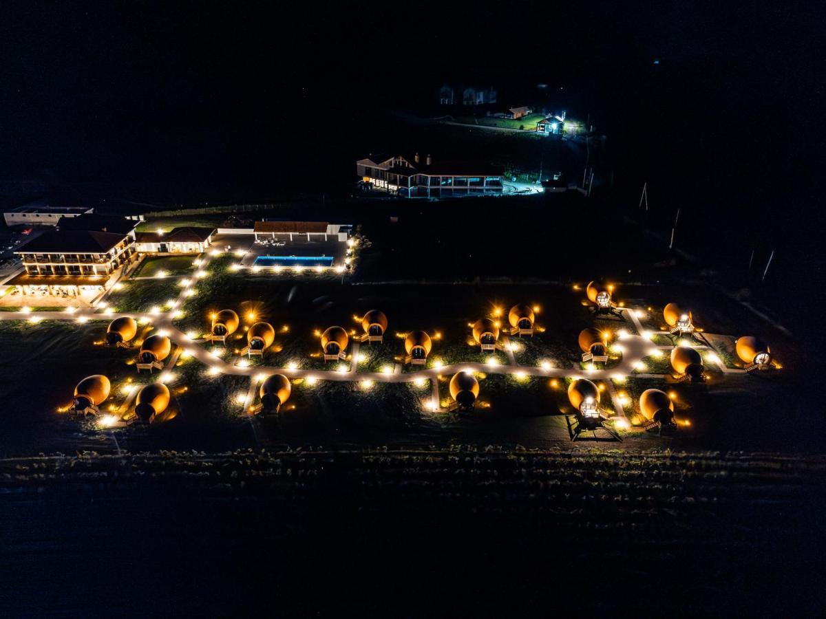 Hotel Qvevrebi Telavi Exteriér fotografie