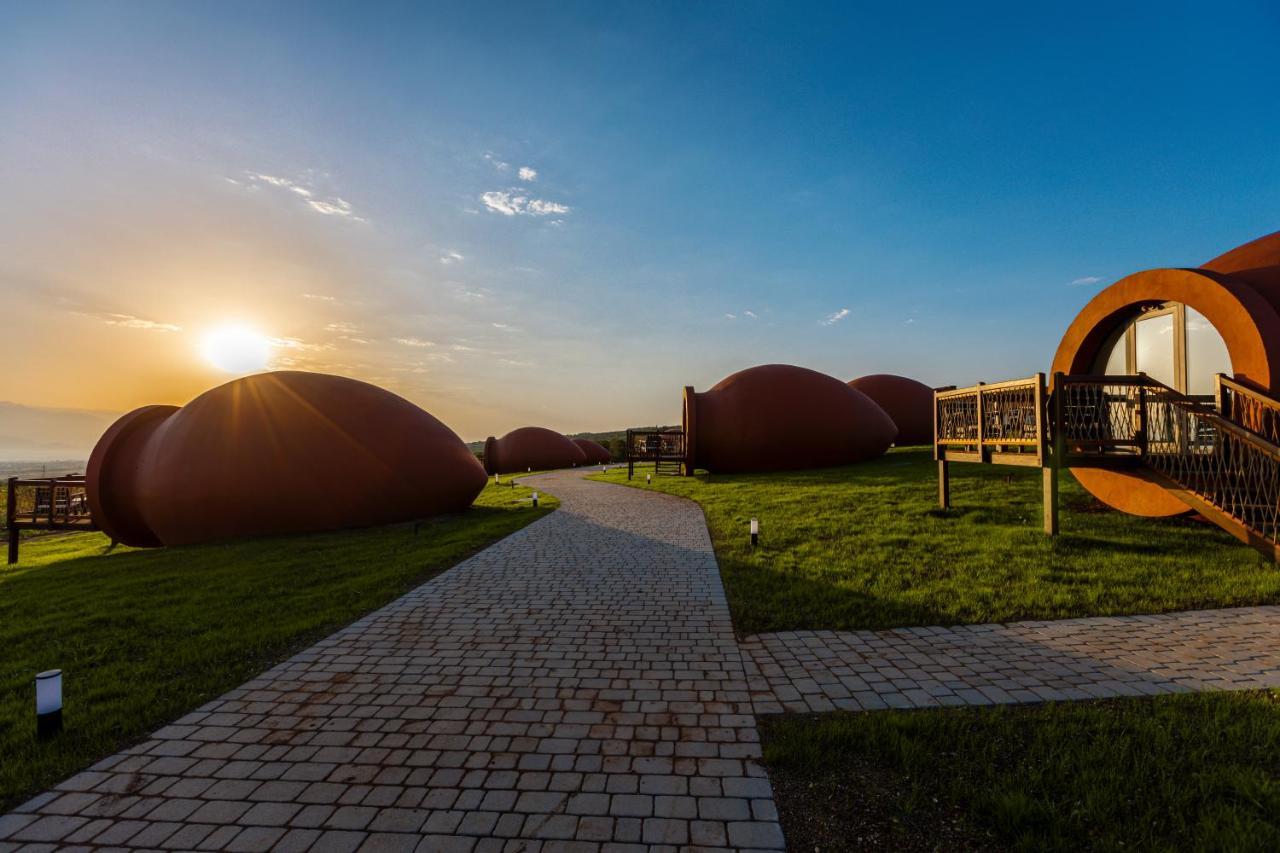 Hotel Qvevrebi Telavi Exteriér fotografie