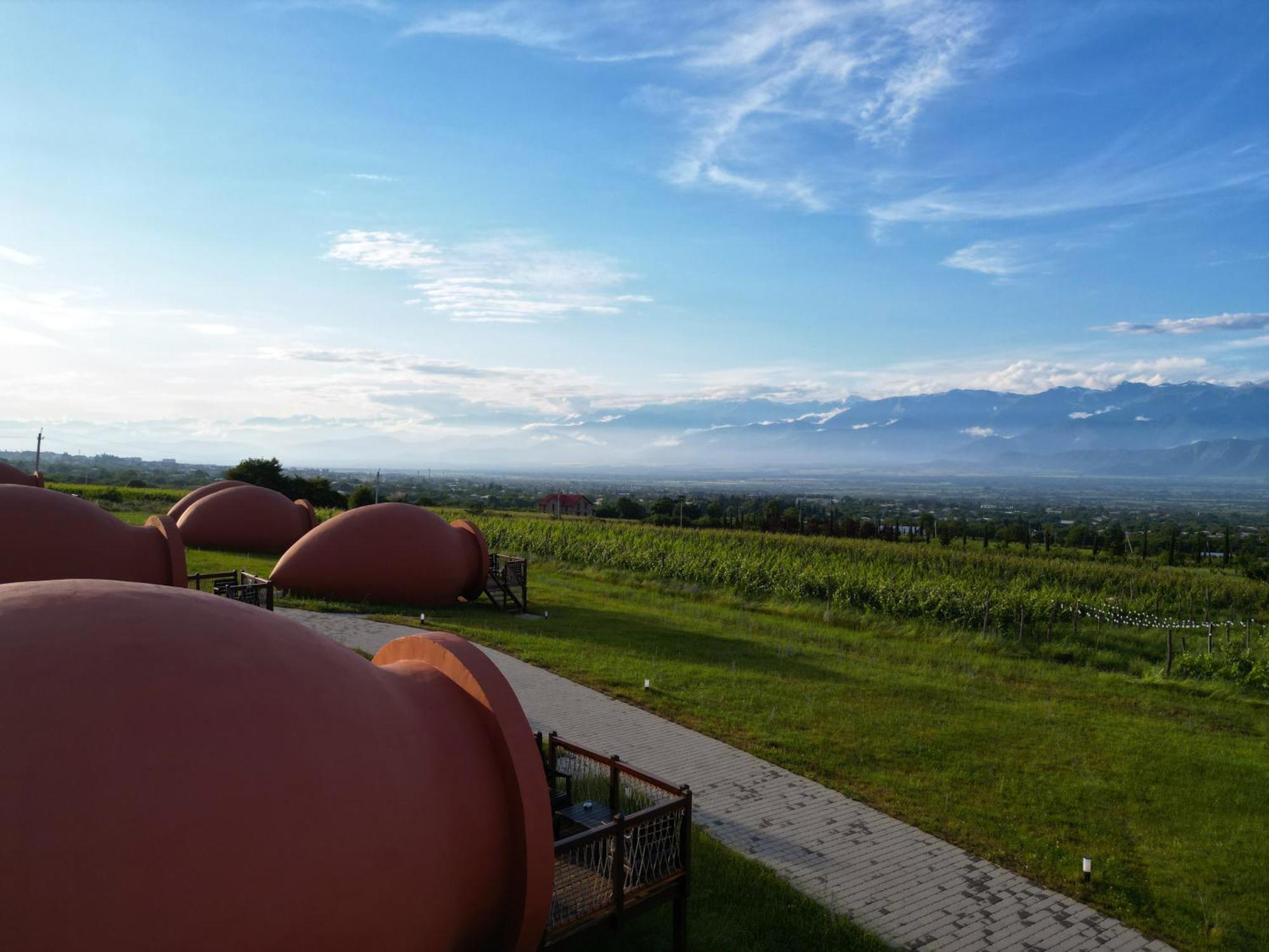 Hotel Qvevrebi Telavi Exteriér fotografie