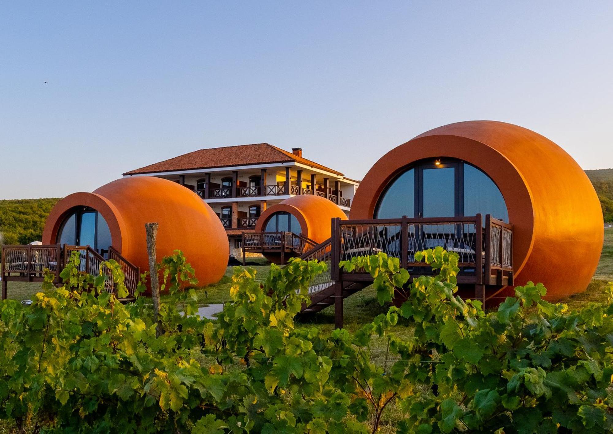 Hotel Qvevrebi Telavi Exteriér fotografie